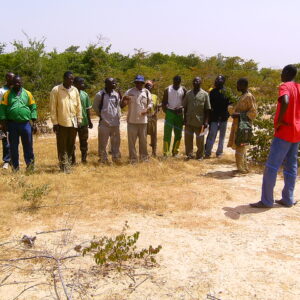 Gestion de peuplements semenciers